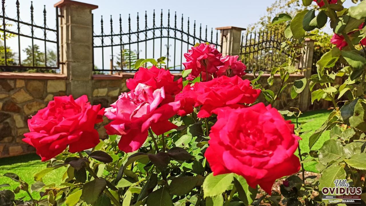 Arode Villa Ovidius Балчик Екстериор снимка
